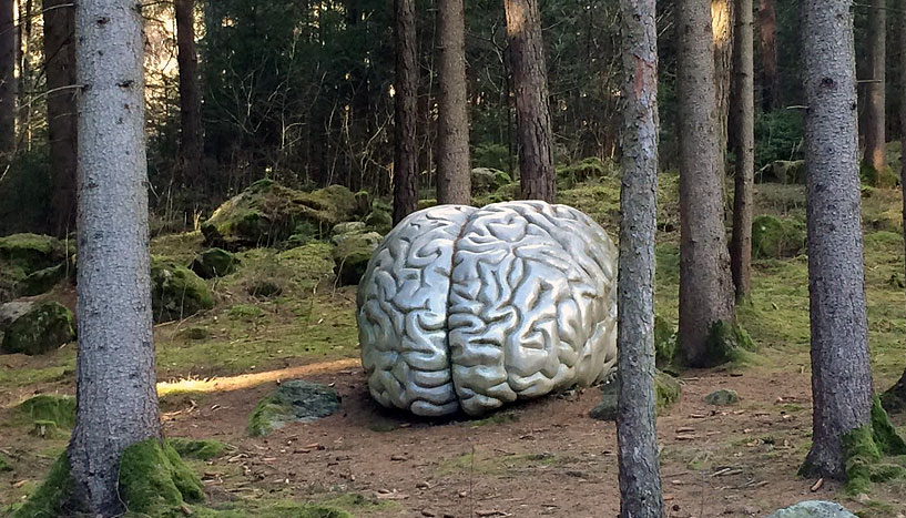 Ein nachgebautes, großes Gehirn liegt auf dem Waldboden.