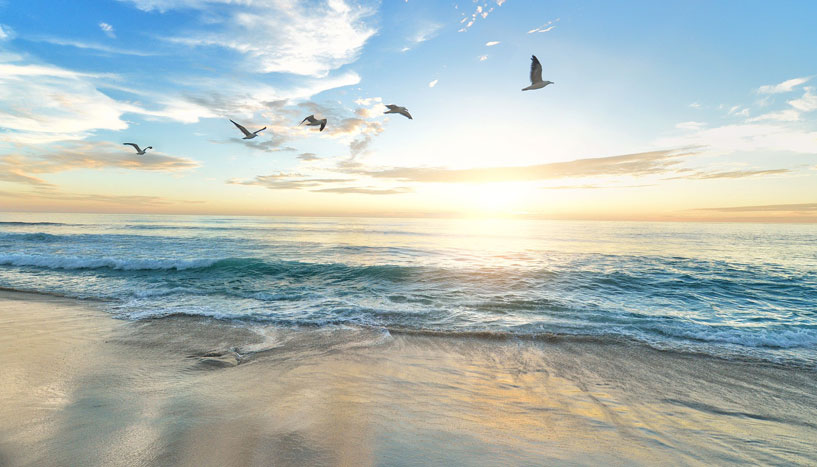Ozean mit Vögeln im Sonnenuntergang